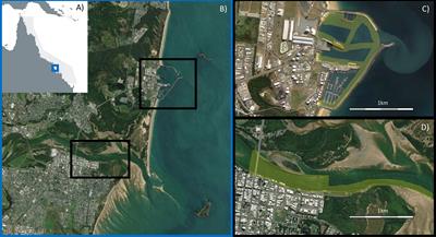 Urban-industrial seascapes can be abundant and dynamic fish habitat